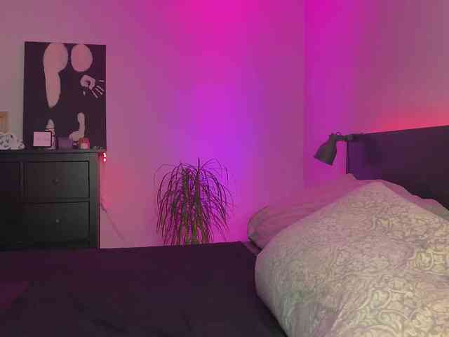 dalmatian-girl webcam