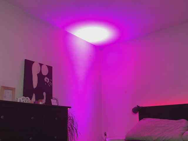 dalmatian-girl webcam