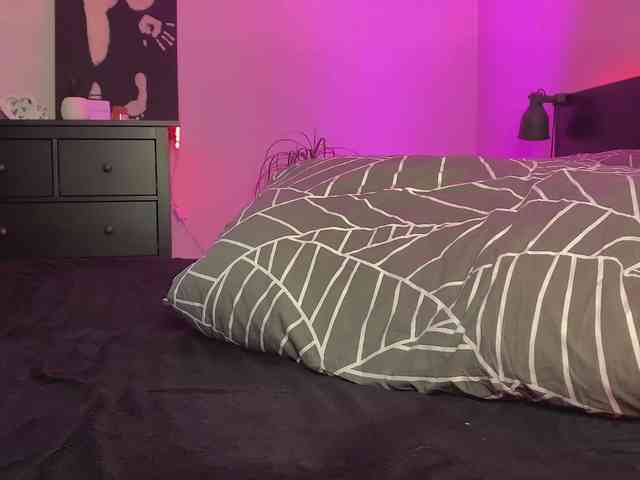 dalmatian-girl dalmatian-girl