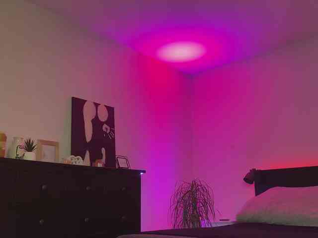 dalmatian-girl webcam