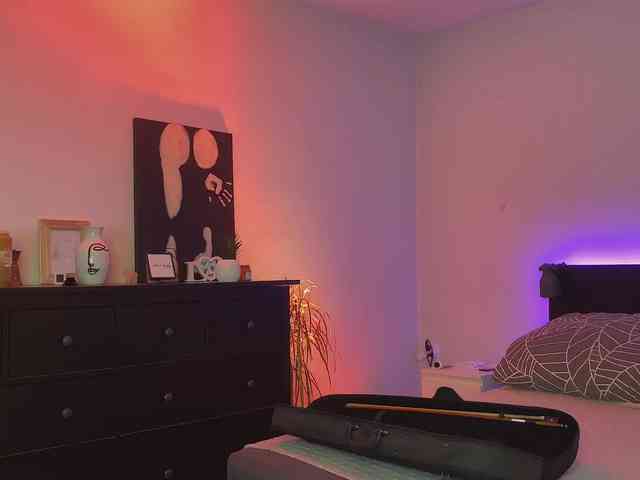 dalmatian-girl webcam