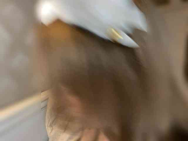 Detka-bez-monetk... Live Webcam on BongaCams