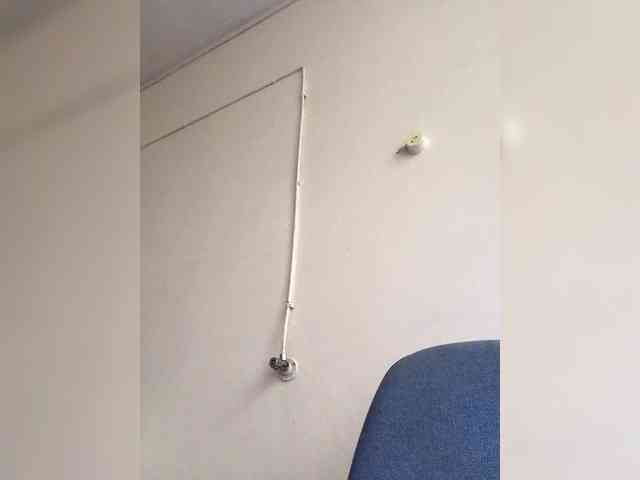 DisDigger webcam