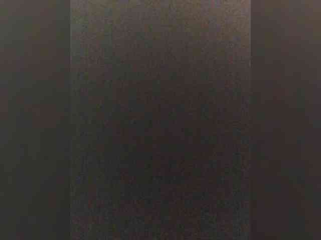 DisDigger webcam