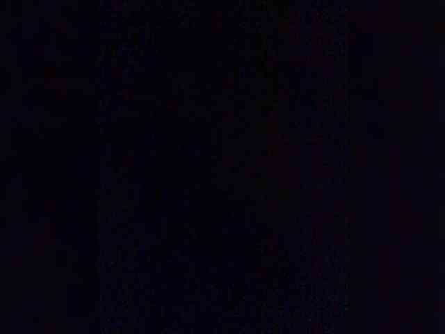 DisDigger webcam