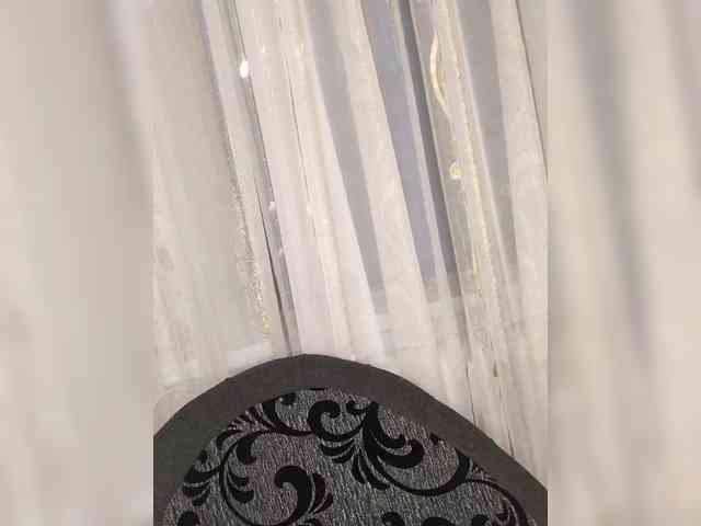 DisDigger webcam