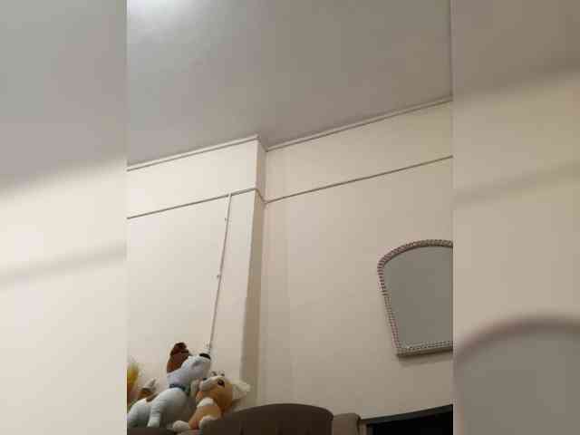SkvirtiKK webcam