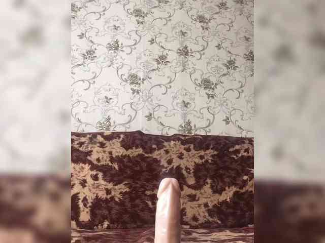 DisDigger webcam
