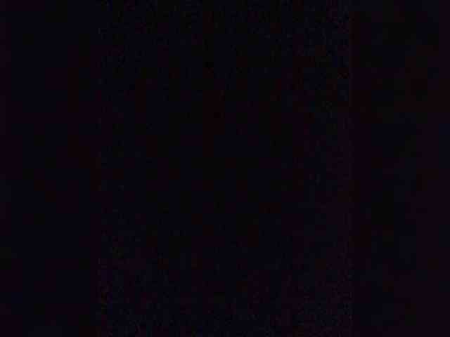 DisDigger webcam
