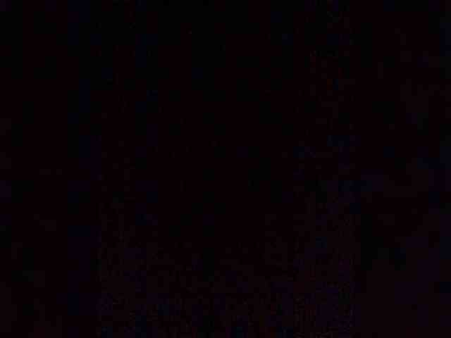 DisDigger webcam