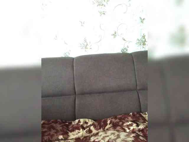 DisDigger webcam