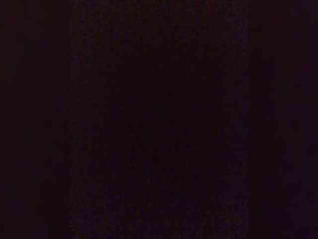 DisDigger webcam