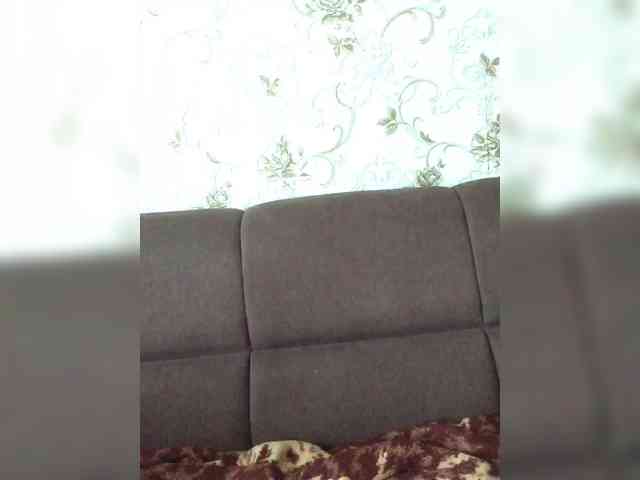 DisDigger webcam