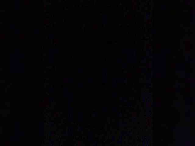 DisDigger webcam