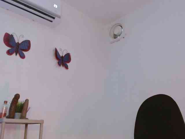 amarant-sland webcam