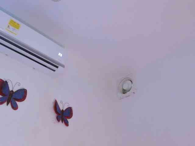 amarant-sland webcam
