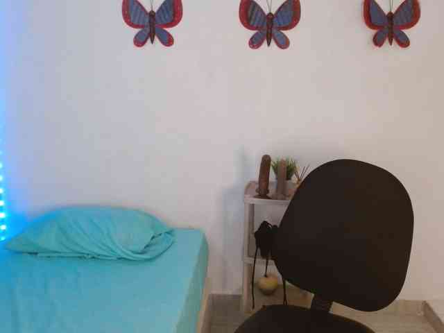 amarant-sland webcam