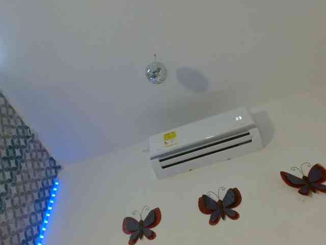 amarant-sland webcam