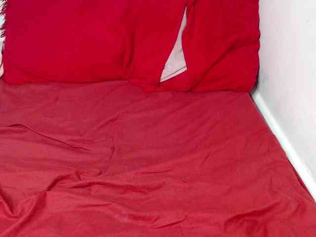 dreamebony webcam