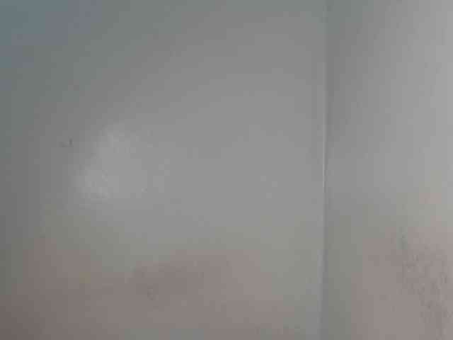 dreamebony webcam