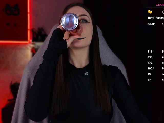 Hozyaika webcam