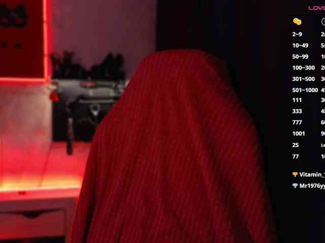 Hozyaika webcam