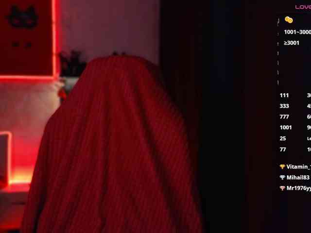 Hozyaika webcam