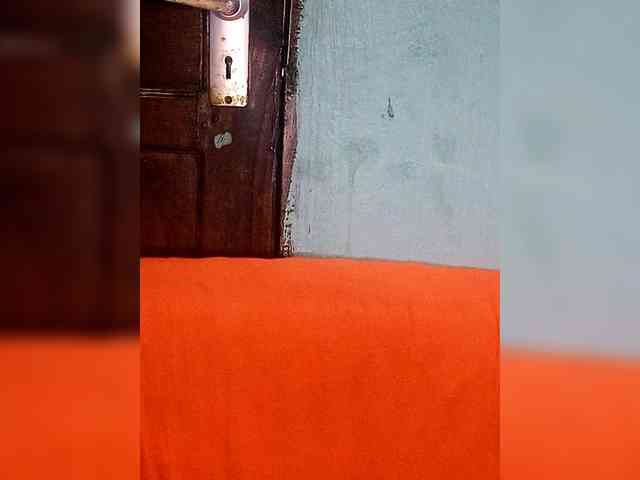 Hennesy-Camila Hennesy-Camila