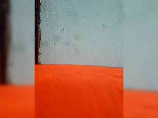 Hennesy-Camila Hennesy-Camila