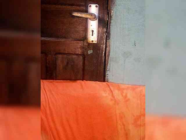 Hennesy-Camila Hennesy-Camila