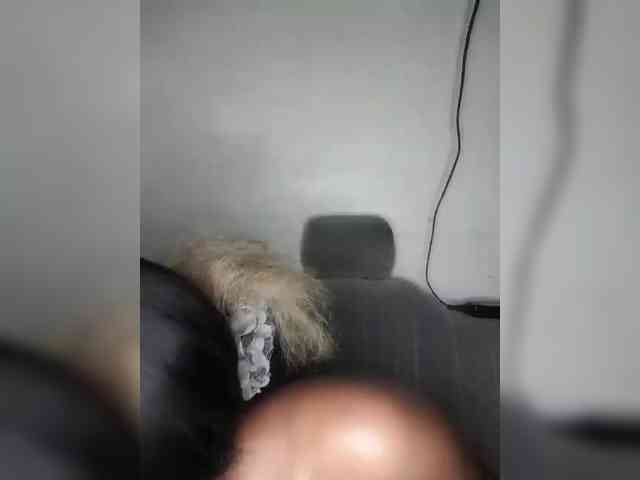 Hennesy-Camila webcam