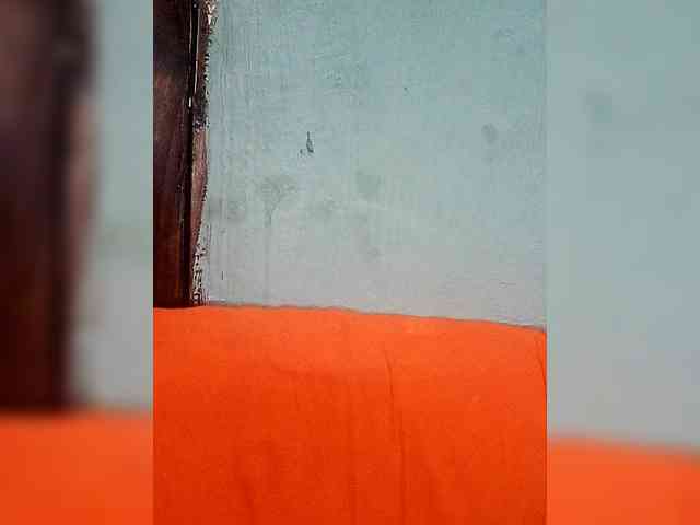 Hennesy-Camila Hennesy-Camila