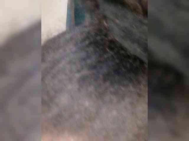 Hennesy-Camila Hennesy-Camila