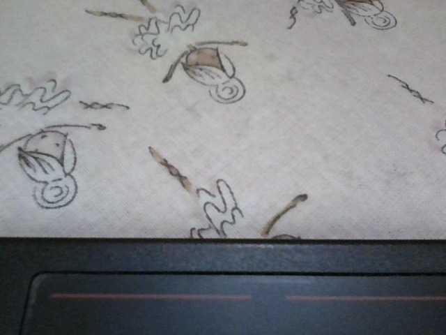 Queen-terry's BongaCams show and profile