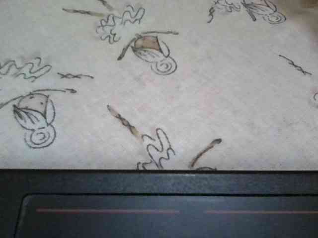 Queen-terry Queen-terry