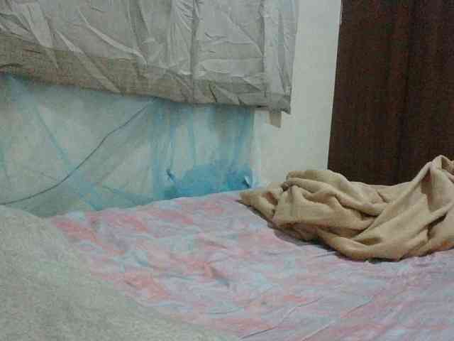 Queen-terry Queen-terry