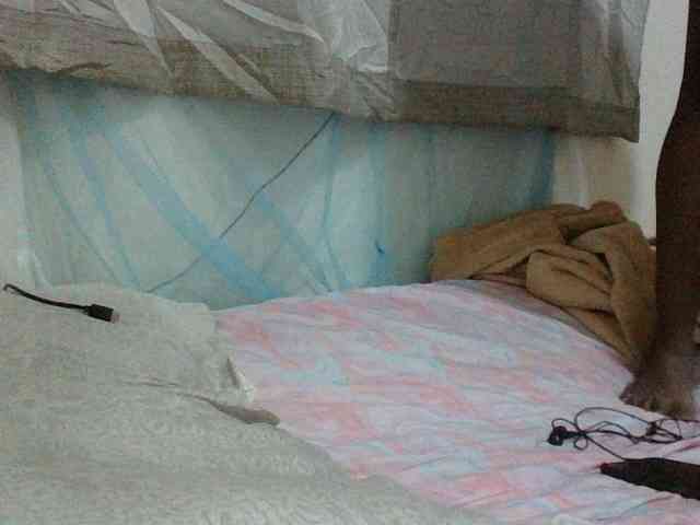 Queen-terry Queen-terry