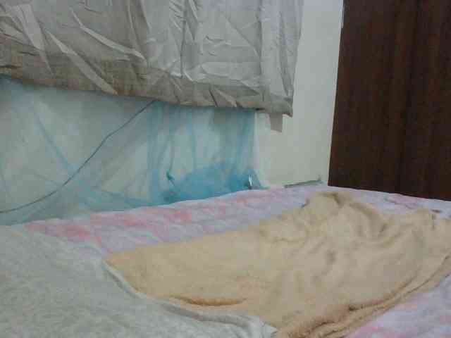 Queen-terry Queen-terry