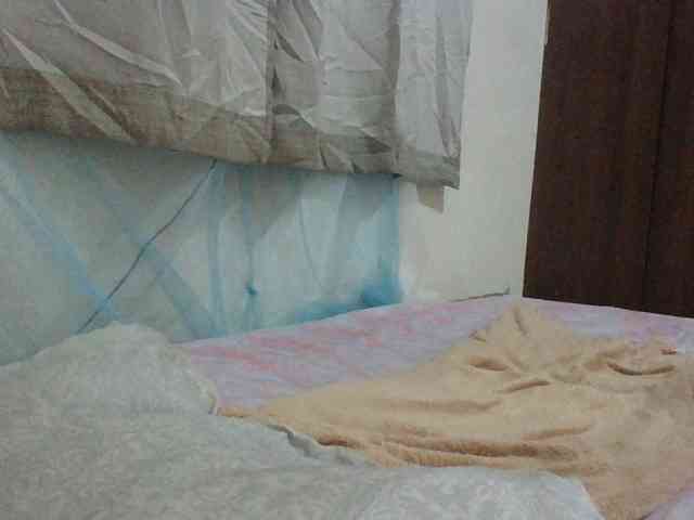 Queen-terry Queen-terry