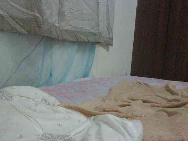 Queen-terry Queen-terry