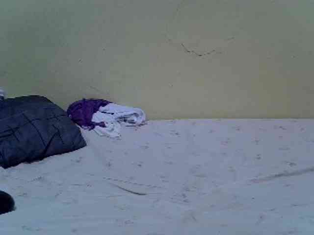 Africanaa webcam