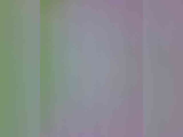 BielkA-4 webcam