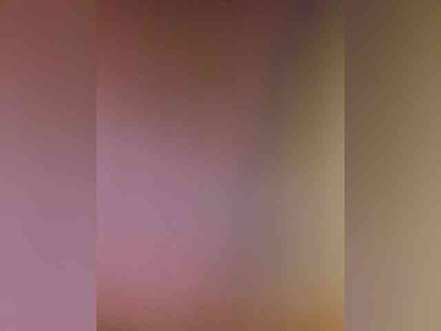 BielkA-4 webcam