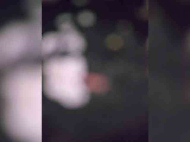 BielkA-4 webcam