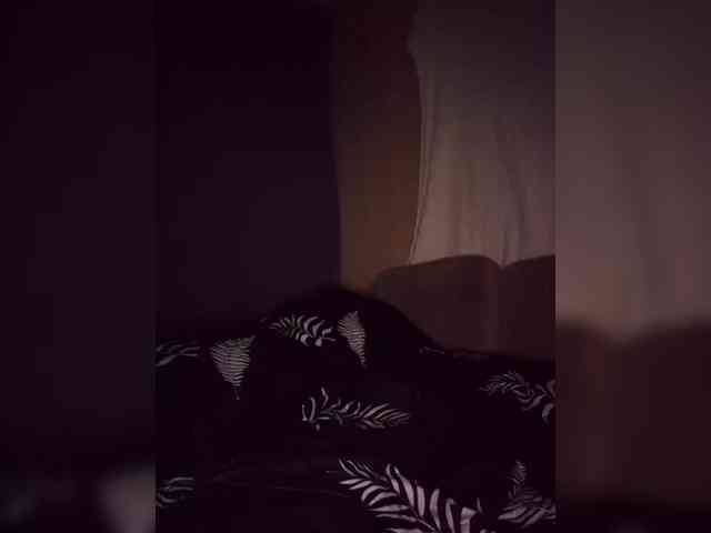 BielkA-4 webcam