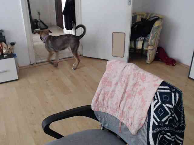 RacyRoby webcam