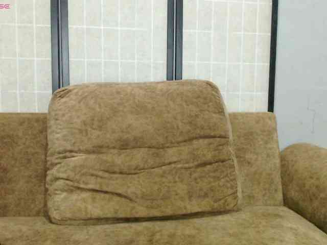 Ladiimia webcam
