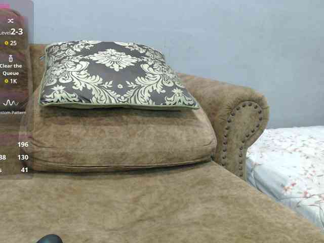 Ladiimia webcam