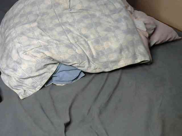 Dollarquench webcam