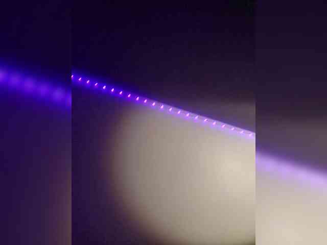 LolaLee webcam